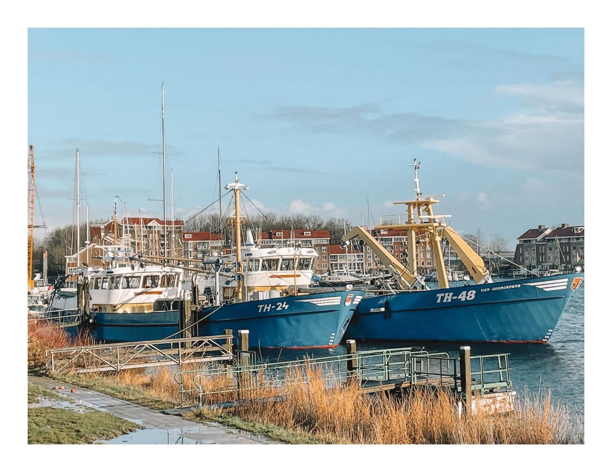 Slapen Op Tholen Apartamento Exterior foto